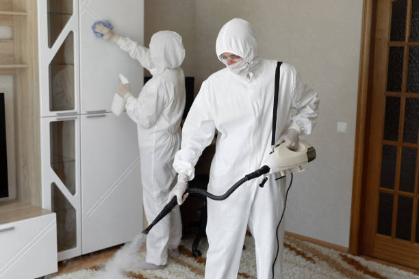 Best Post-Flood Mold Remediation in Nroe City, MO